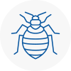 Bed Bug Extermination In Stevenage