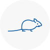 Mice Exterminators In Stevenage